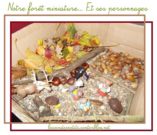 Une forêt miniature