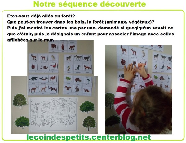 Découvrir les animaux des bois, de la forêt