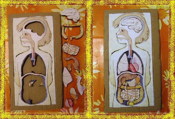 puzzle "LE CORPS HUMAIN"